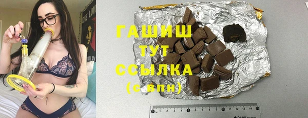 герыч Алексин