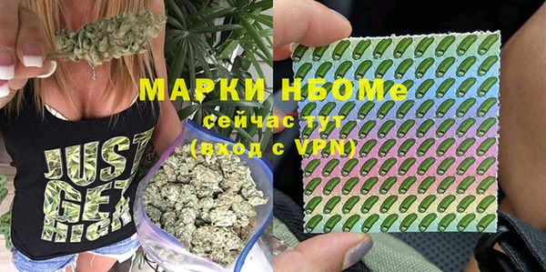 амф Алзамай