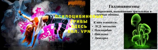 герыч Алексин
