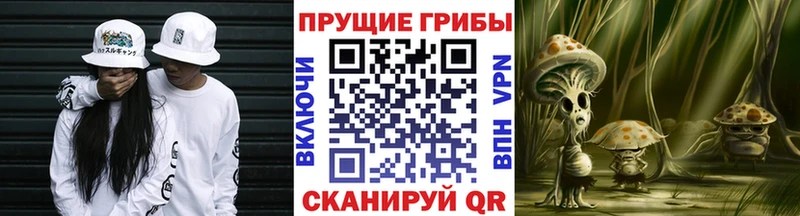 OMG как зайти  Благодарный  Галлюциногенные грибы ЛСД  хочу  