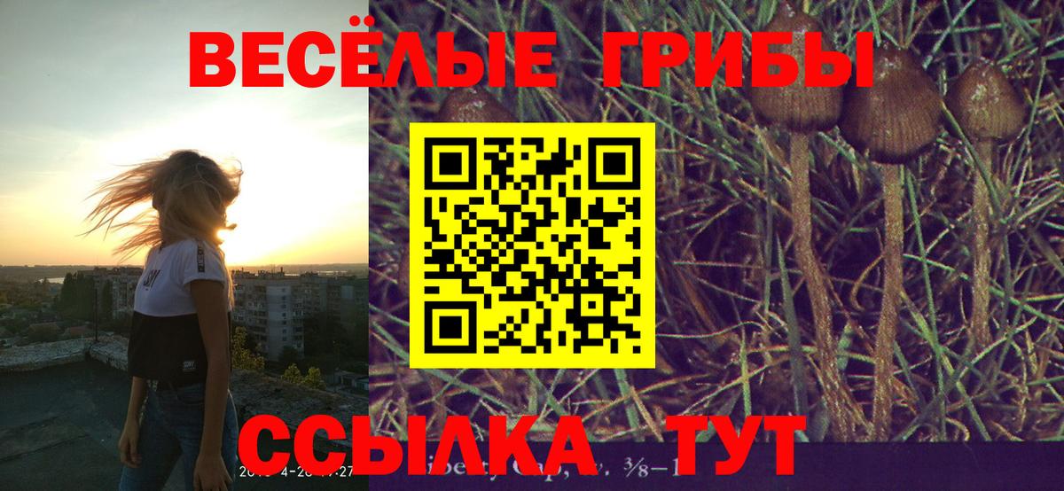 Галлюциногенные грибы Psilocybe Благодарный