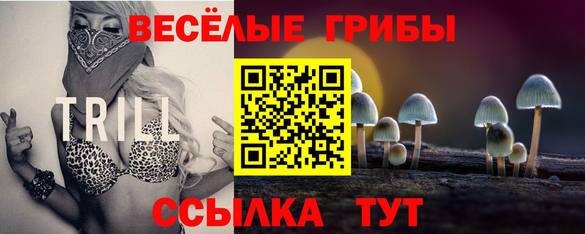 Псилоцибиновые грибы Psilocybine cubensis  как найти   Благодарный  Галлюциногенные грибы GOLDEN TEACHER 