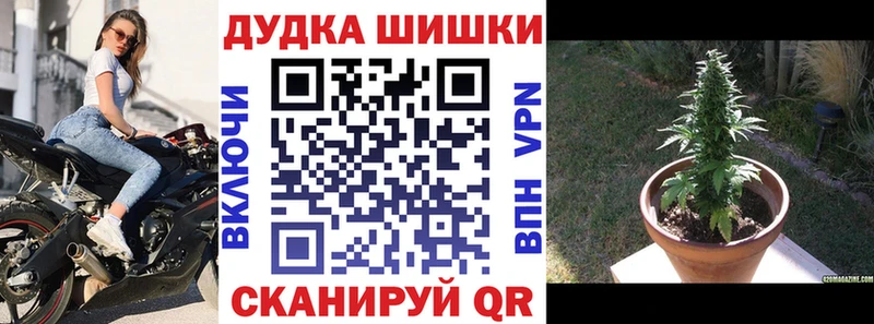 цена   Благодарный  МАРИХУАНА план 